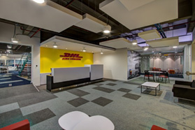 dhl1